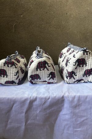 WhatsApp Image 2025-03-15 at 8.07.43 AM